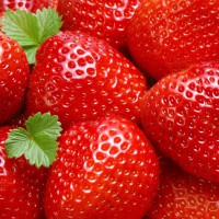 תמצית בושם "תות", 10 מ"ל